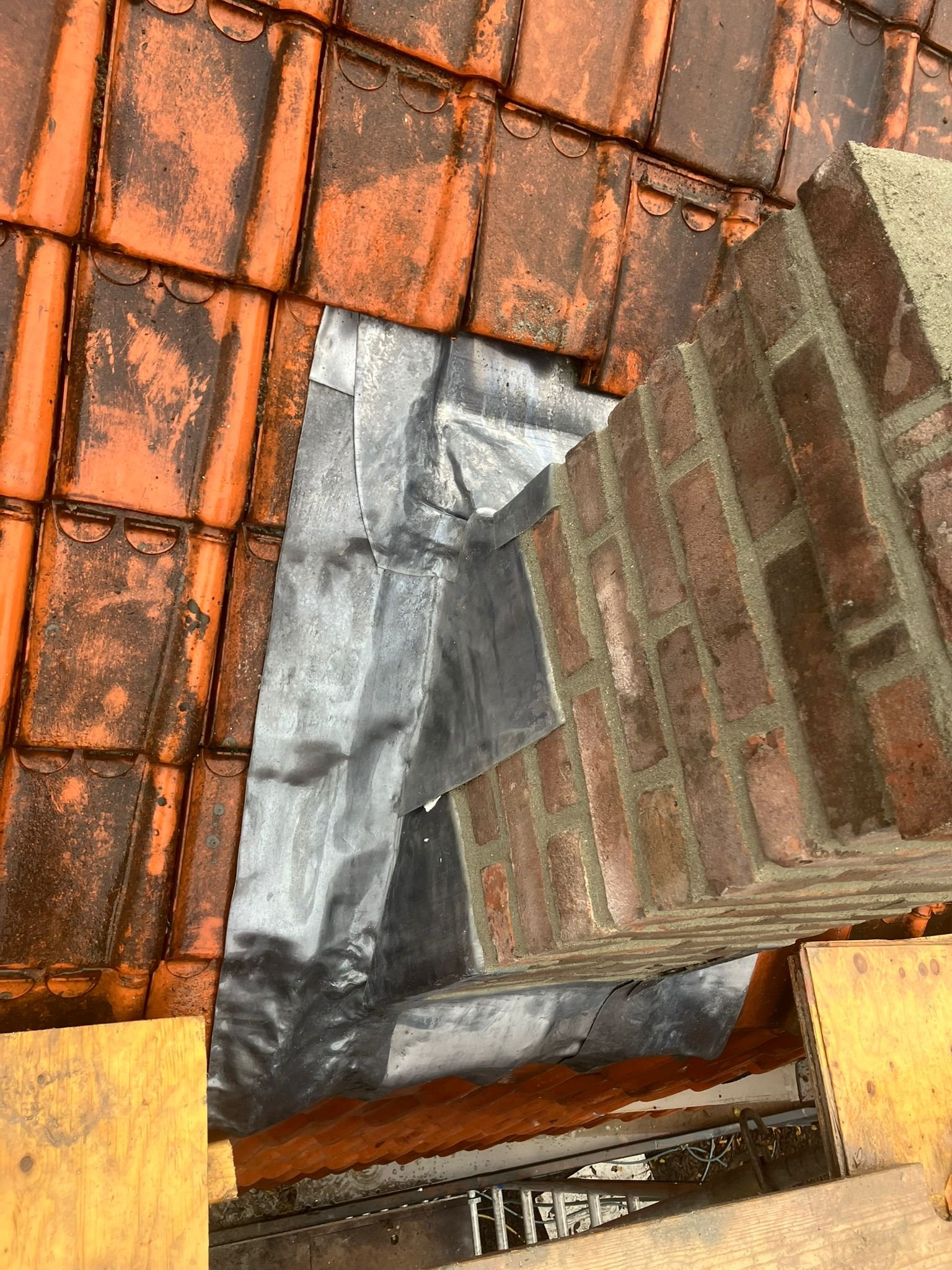 WhatsApp Image 2026-02-18 at 12.59.11