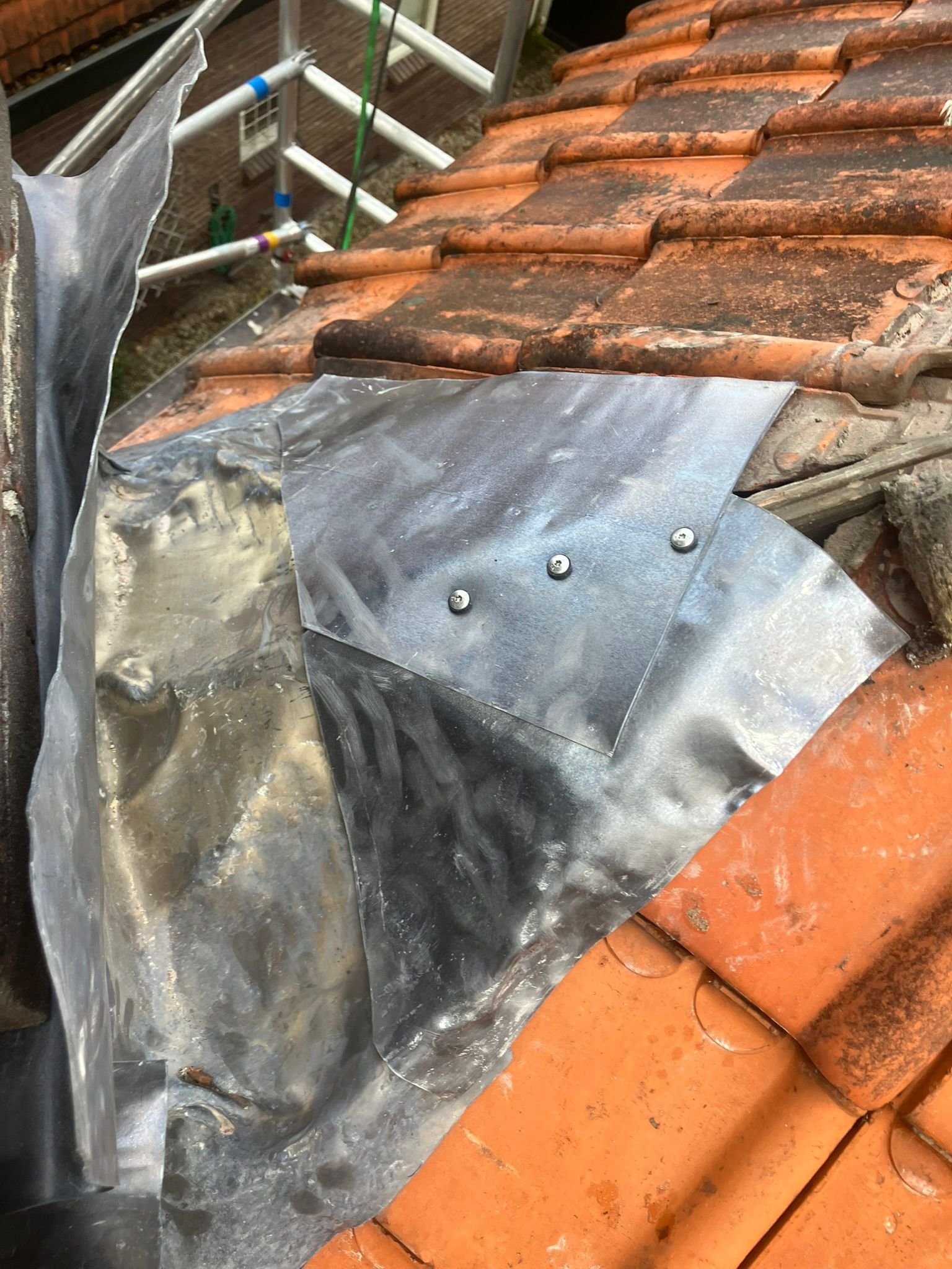 WhatsApp Image 2026-02-18 at 12.59.12 (3)